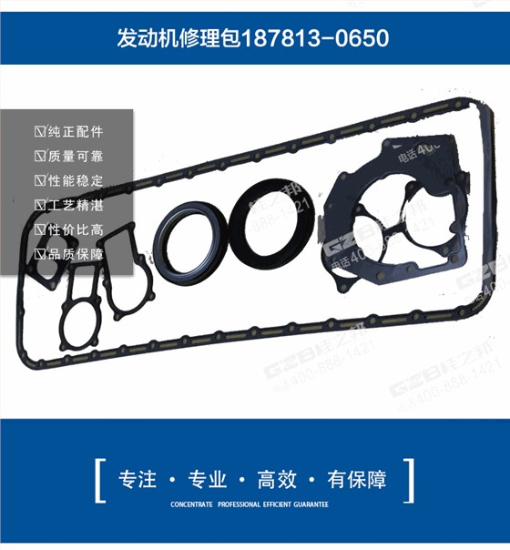 挖掘機(jī)發(fā)動(dòng)機(jī)修理包187813-0650